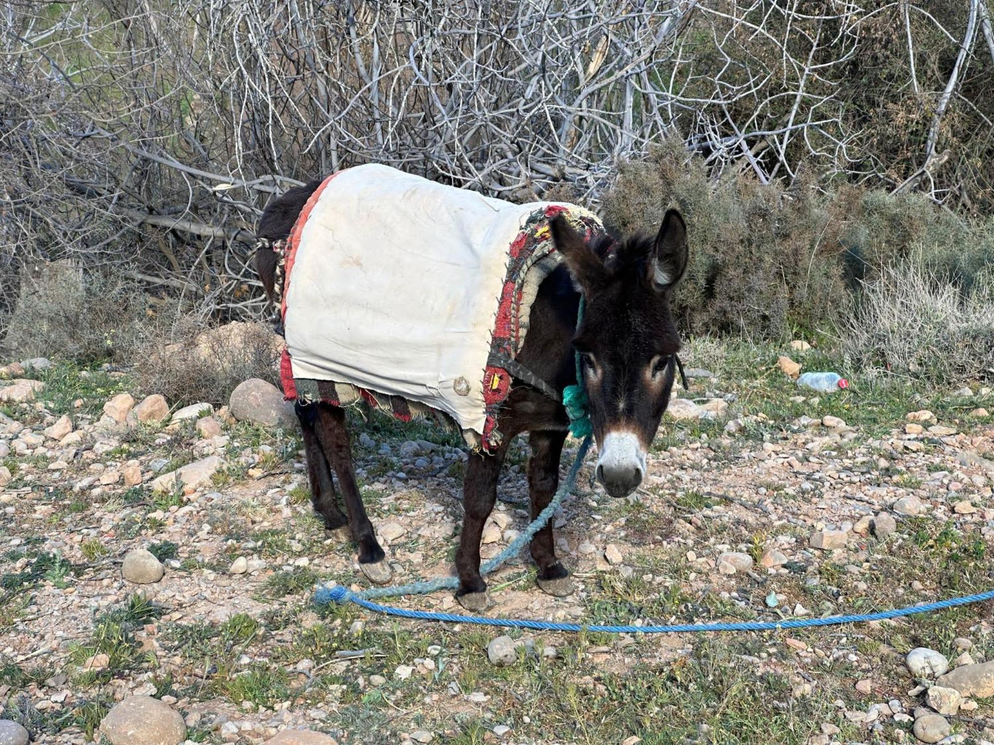 מלון Aït Idaïr Dar Mezyana Dades מראה חיצוני תמונה